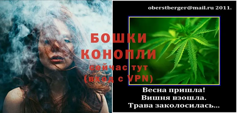 где продают   Пятигорск  Каннабис Amnesia 